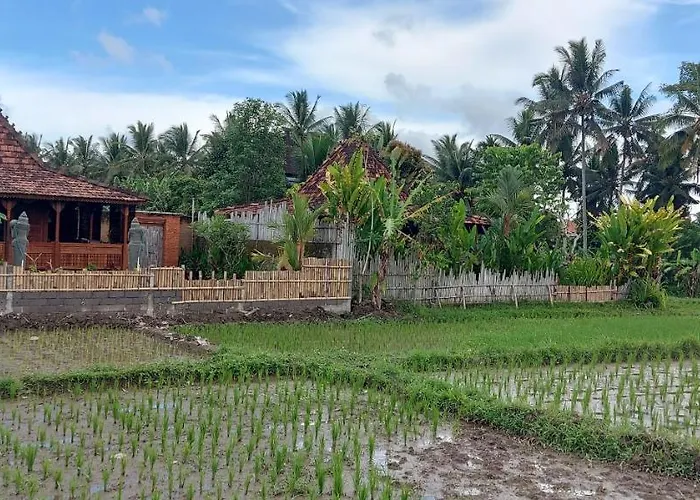 Nandimas House #2 *